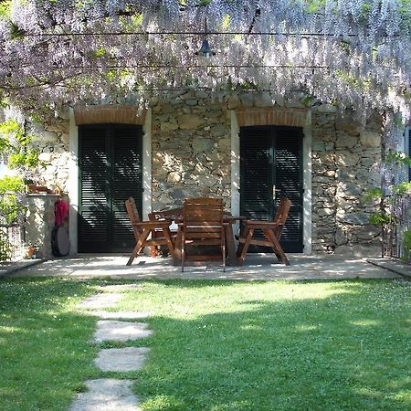 Il Glicine Bed & Breakfast Zimone Exterior photo